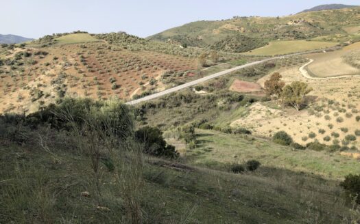 Finca rústica de olivar en El Gastor