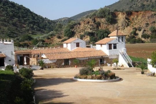 Cortijo, Tourist complex, Equestrian and Pool