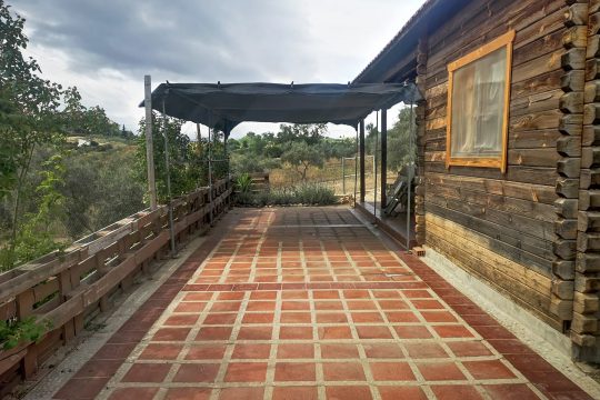 Country Property in 10.000 m2, Wooden House, Olives
